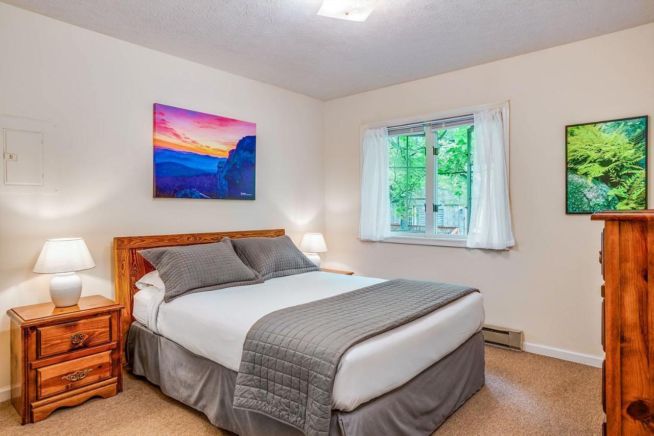 Love Ridge Mountain Lodging Lyndhurst エクステリア 写真