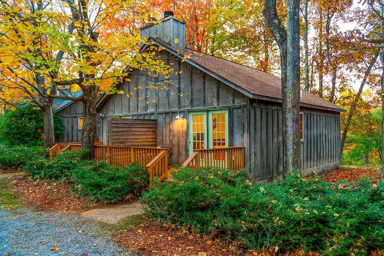 Love Ridge Mountain Lodging Lyndhurst エクステリア 写真