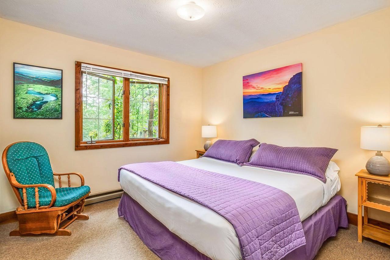 Love Ridge Mountain Lodging Lyndhurst エクステリア 写真