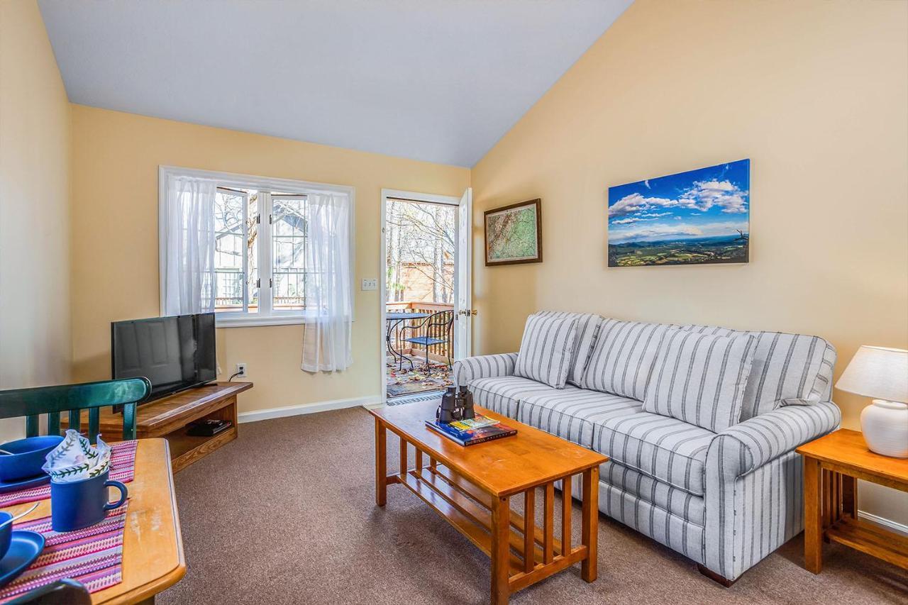 Love Ridge Mountain Lodging Lyndhurst エクステリア 写真