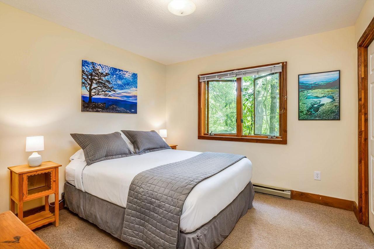 Love Ridge Mountain Lodging Lyndhurst エクステリア 写真