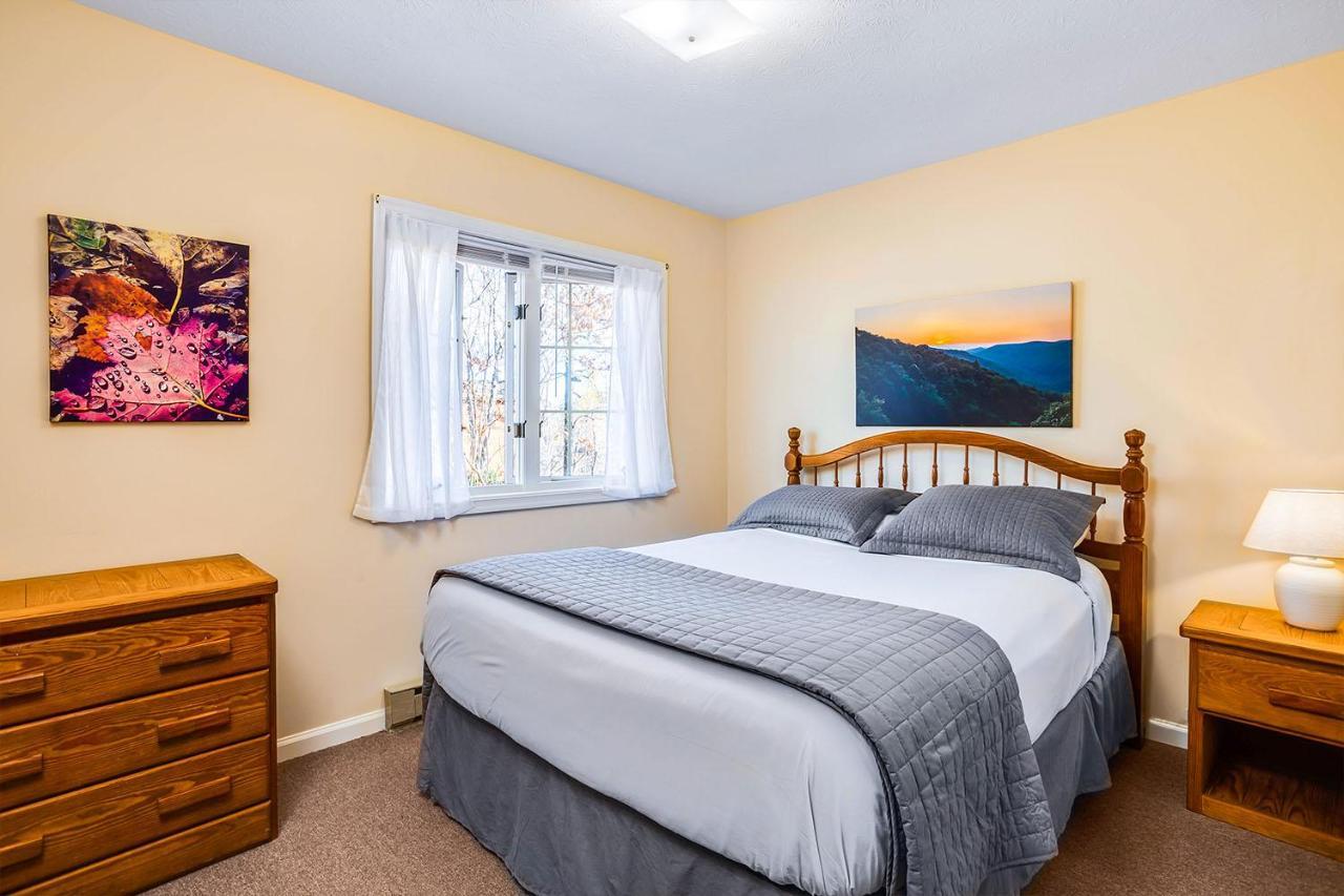 Love Ridge Mountain Lodging Lyndhurst エクステリア 写真
